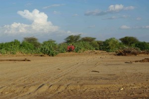 Spurensuche nach Kenia