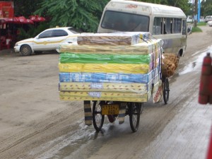 Fahrradtransport