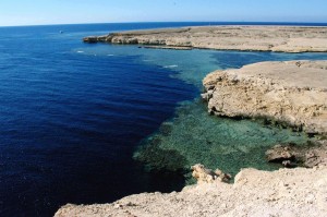 Ras Mohammed - angeblich mit die schönsten Tauchplätze der Welt 