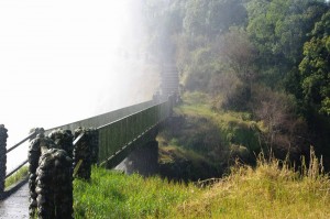 Victoria Falls