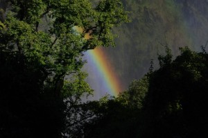 und hier kommen auch die Regenbogen her