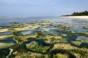 Küste am Tiwi Beach