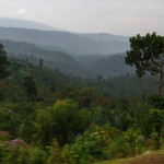 05.02.2010 tropischer Wald im äthiopiscchen Hochland